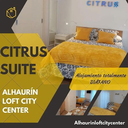 Citrus Suite By Alhaurin Loft City Center Alhaurín de la Torre Extérieur photo