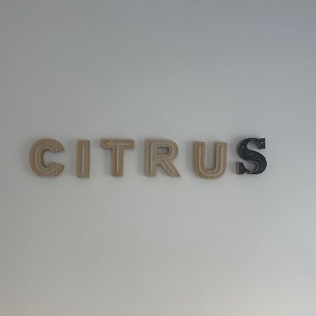 Citrus Suite By Alhaurin Loft City Center Alhaurín de la Torre Extérieur photo
