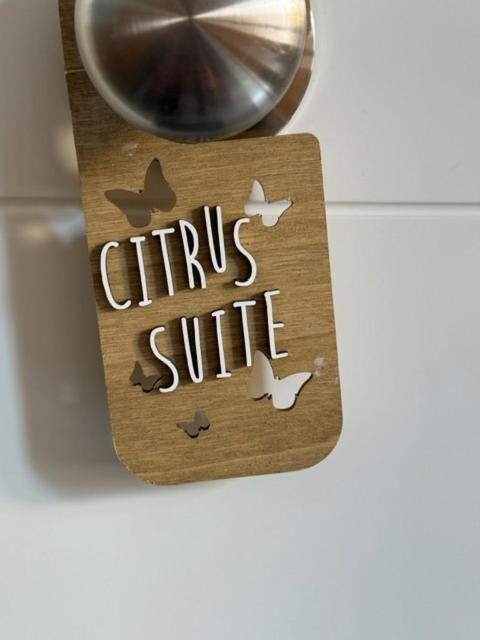 Citrus Suite By Alhaurin Loft City Center Alhaurín de la Torre Extérieur photo